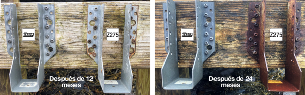 Test results ZPRO 12 & 24 mois esp