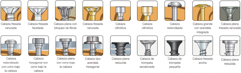 type-tete-vis-esp