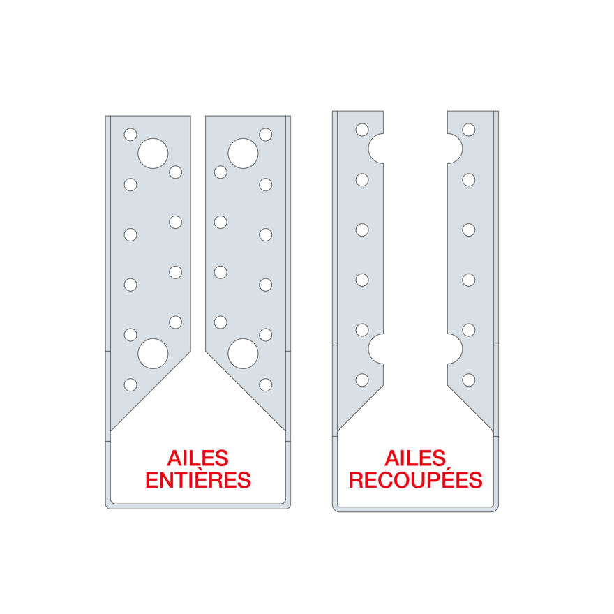 SAI ailes entieres_ailes recoupees FR.png